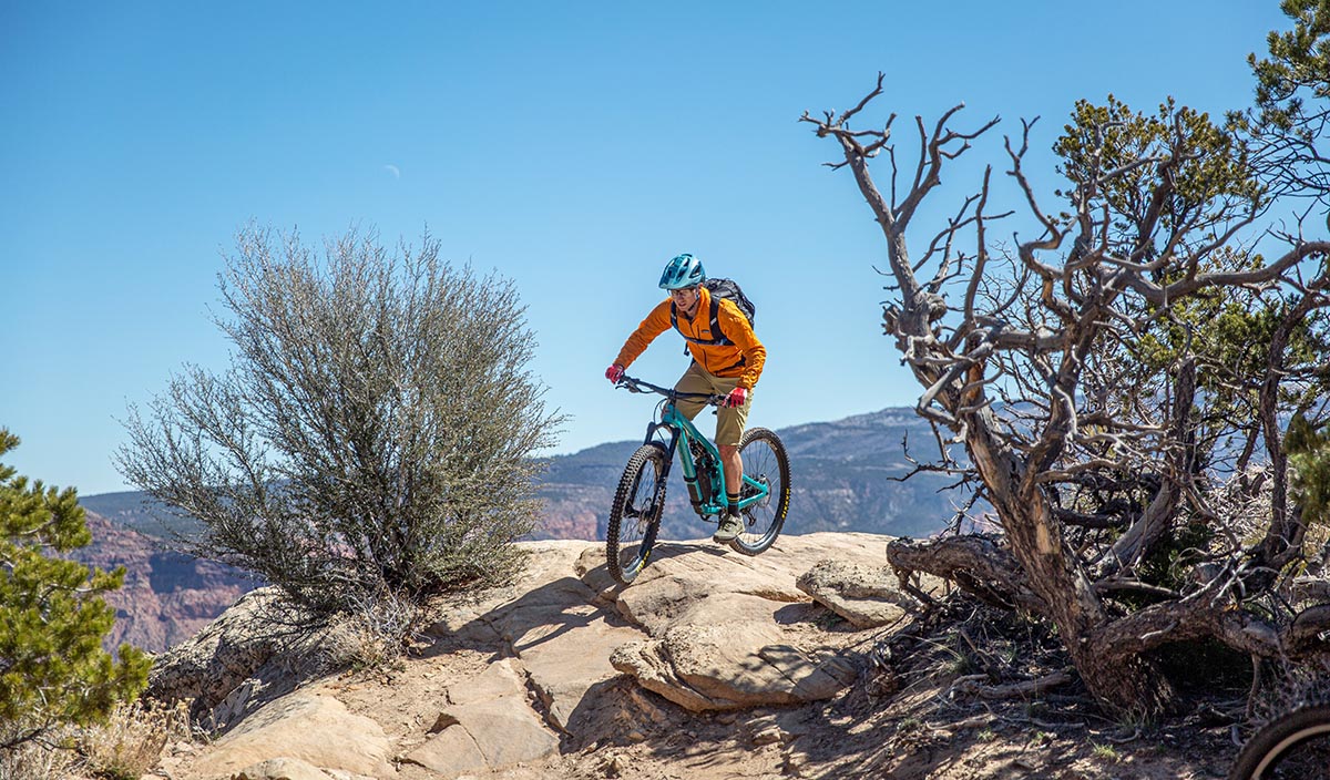 Mountain bikes under 2k (riding over rocky terrain)
